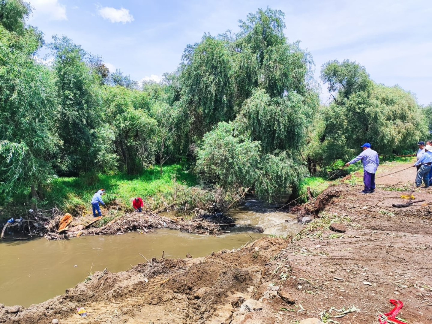 Imagen de la noticia