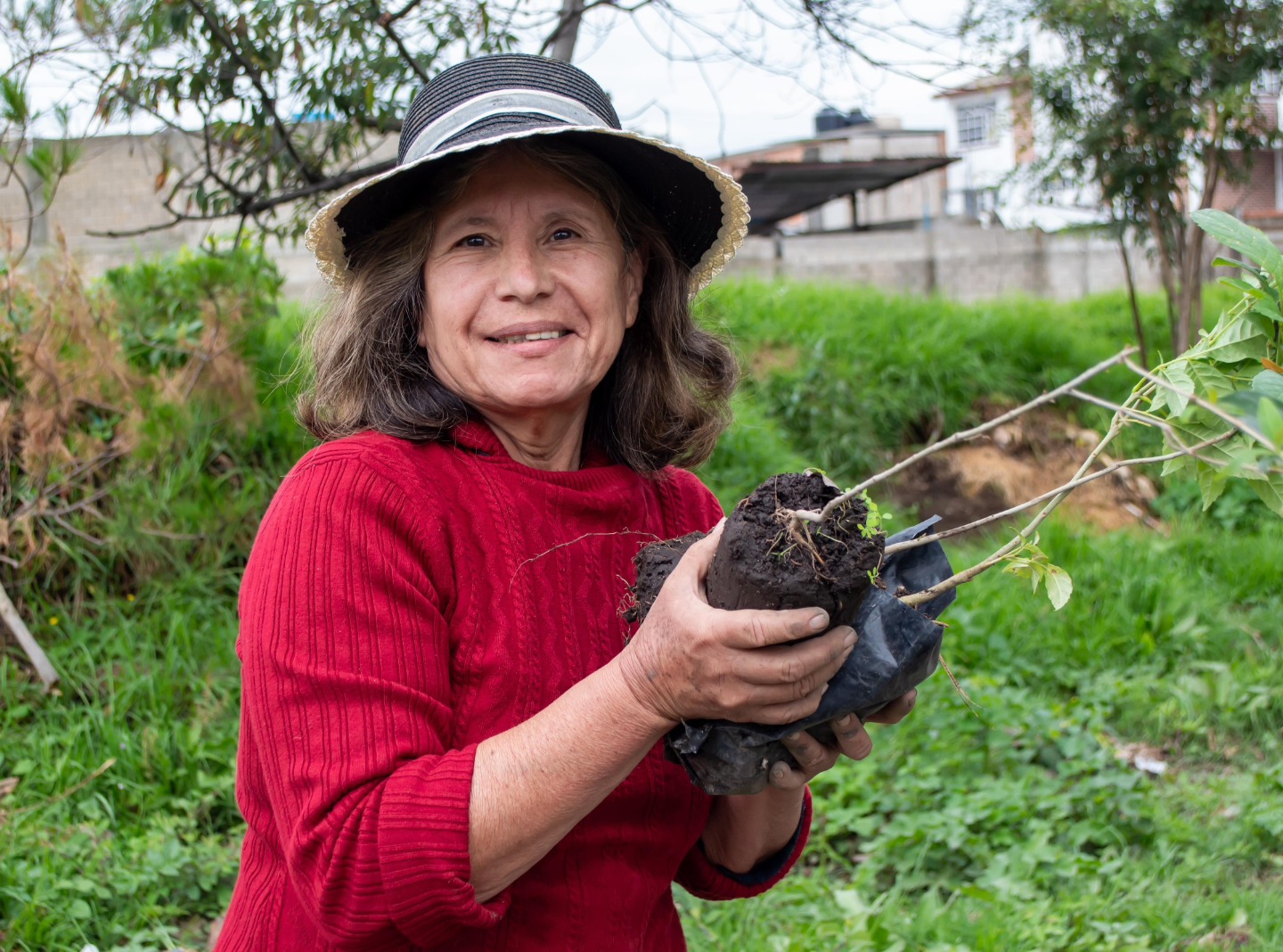 Imagen de la noticia