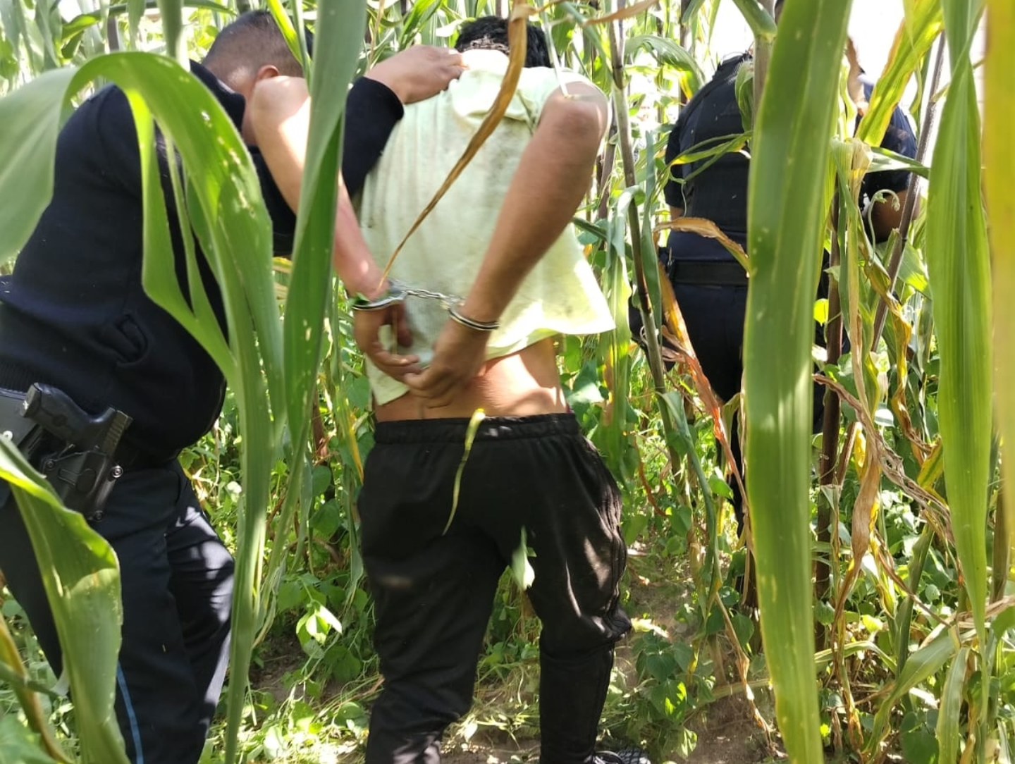 Imagen de la noticia