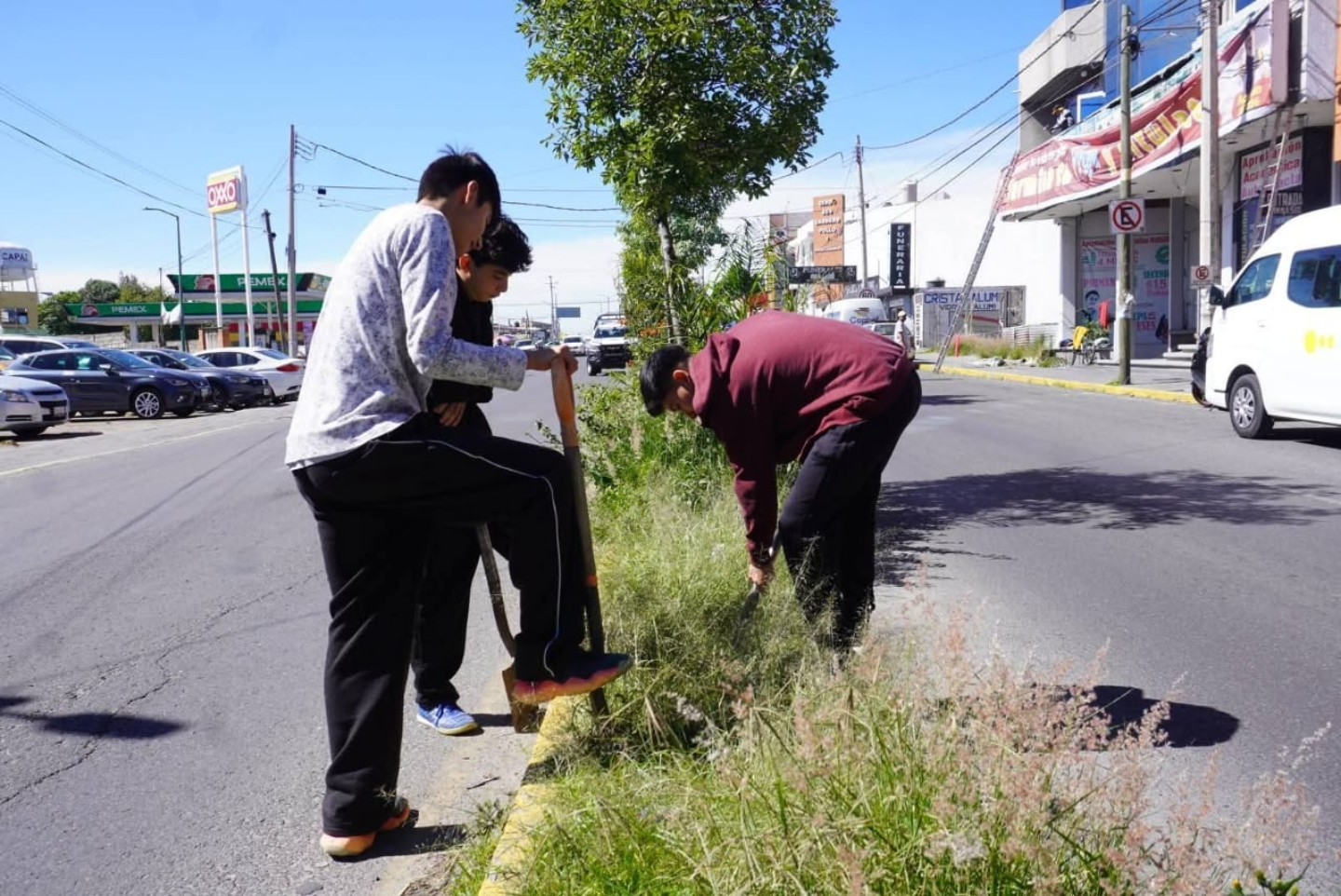 Imagen de la noticia