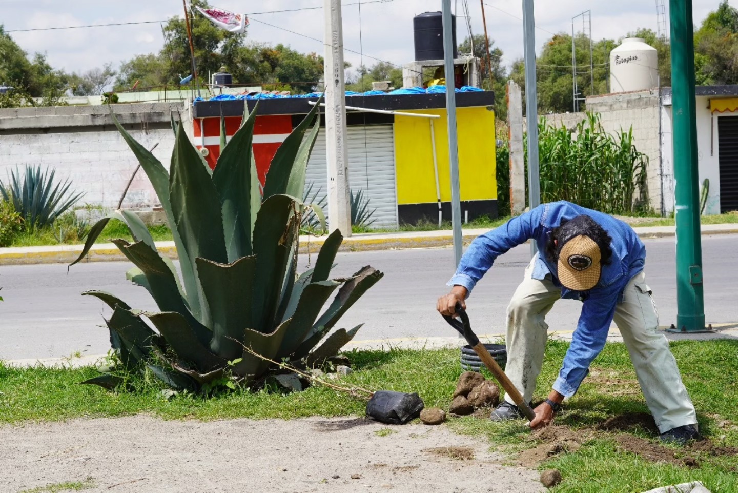 Imagen de la noticia