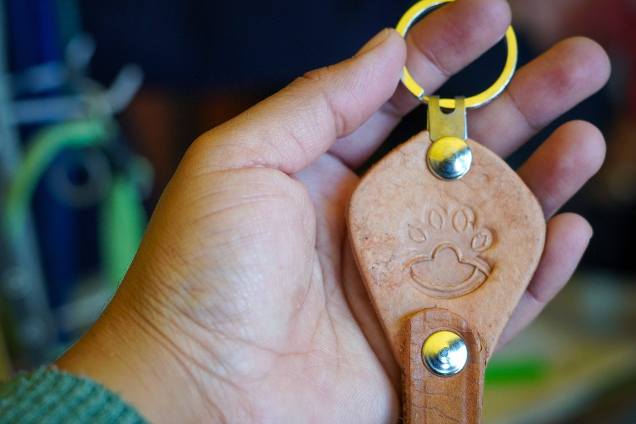 Imagen de la noticia