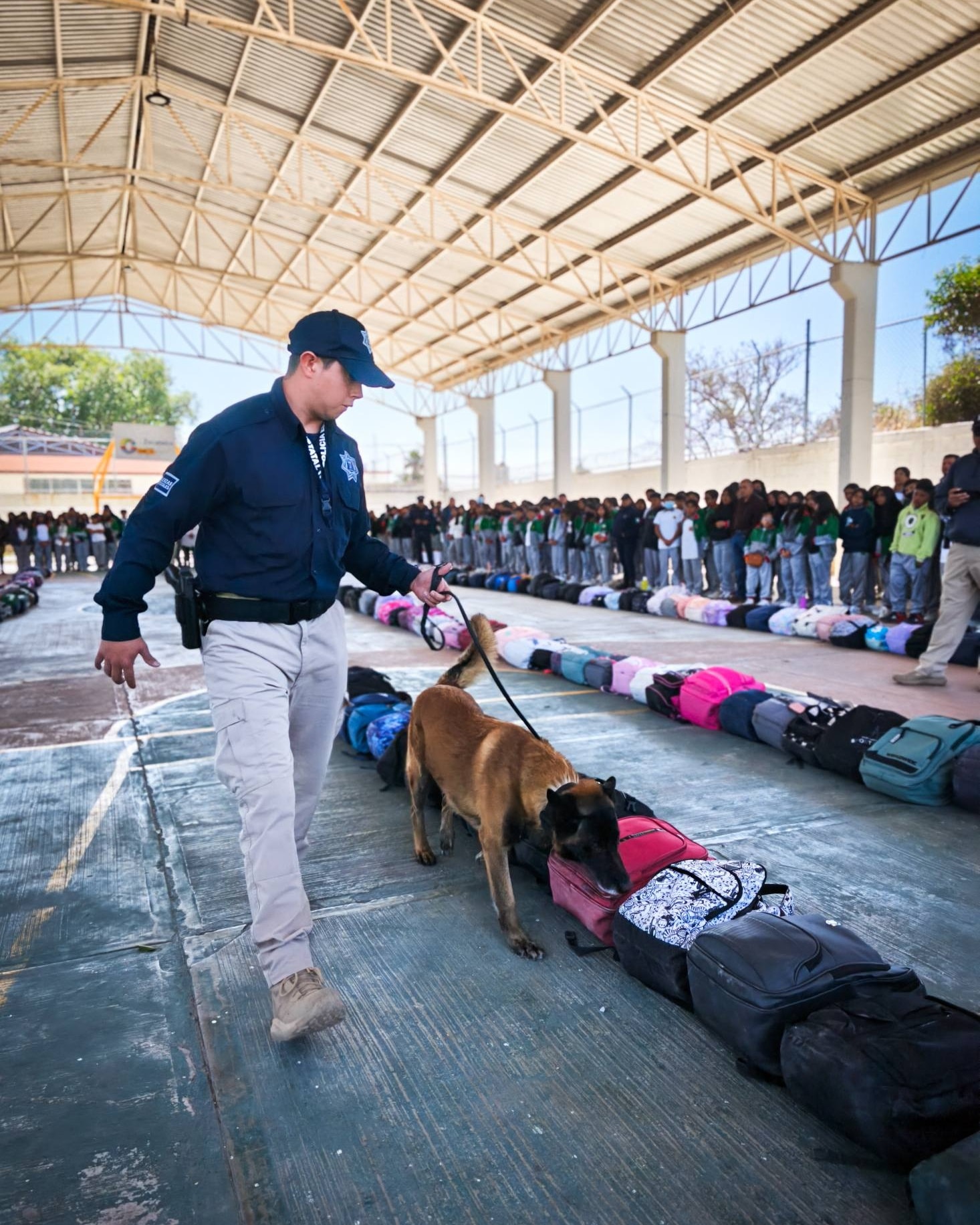 Imagen de la noticia