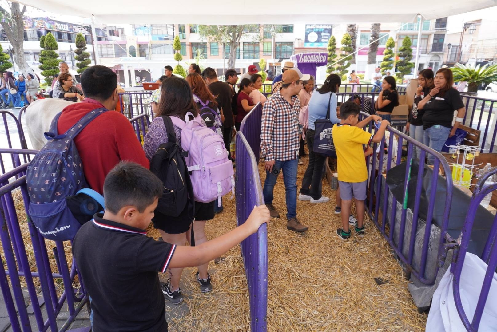 Imagen de la noticia