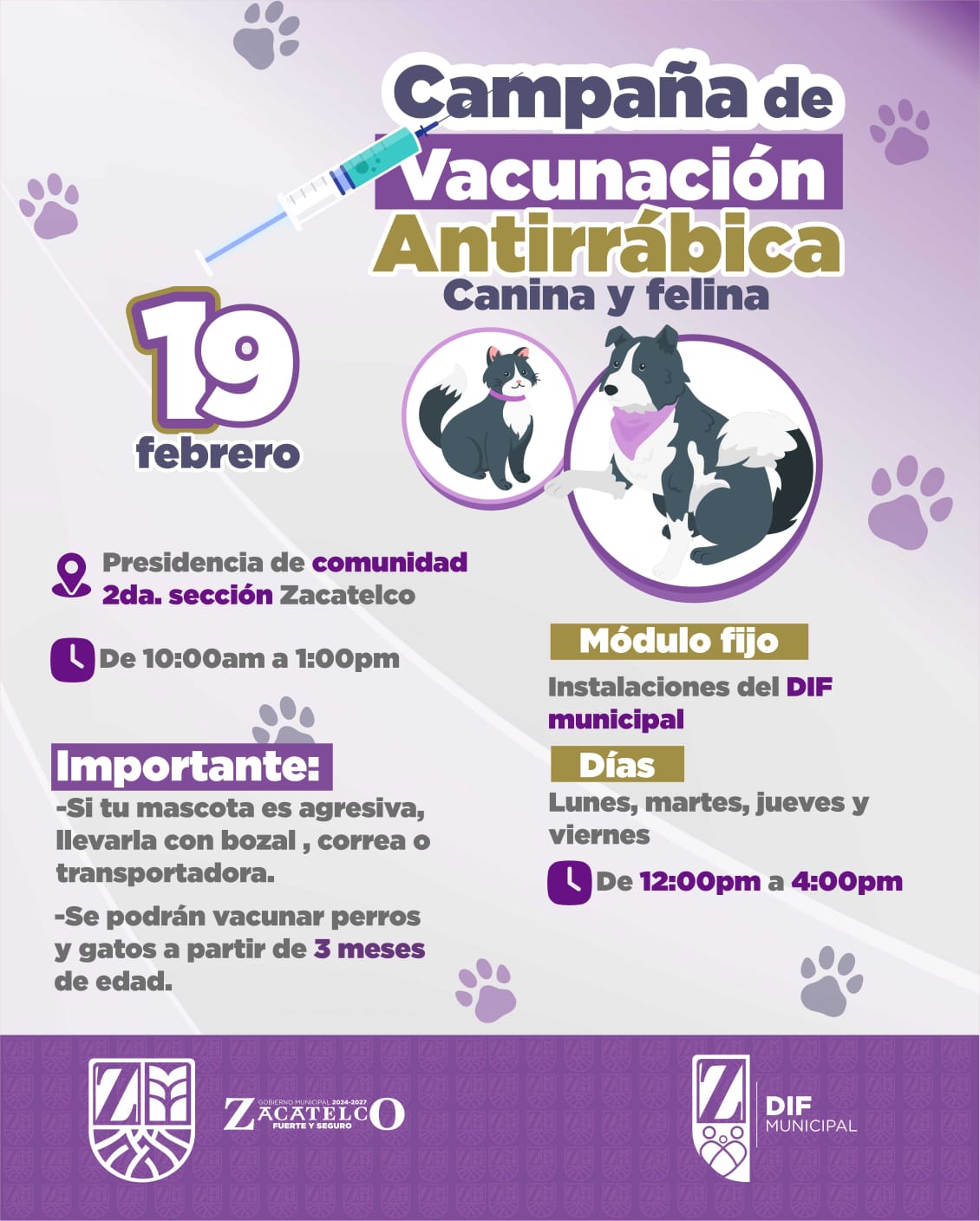 Imagen de noticia