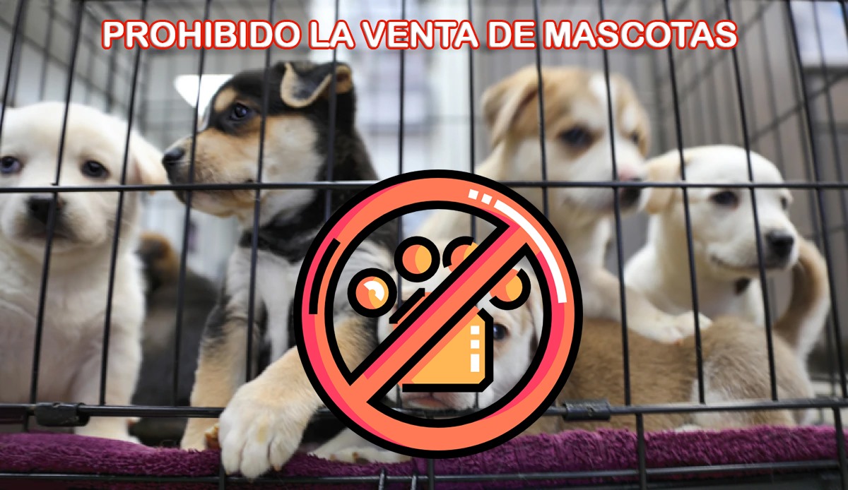 Imagen de noticia