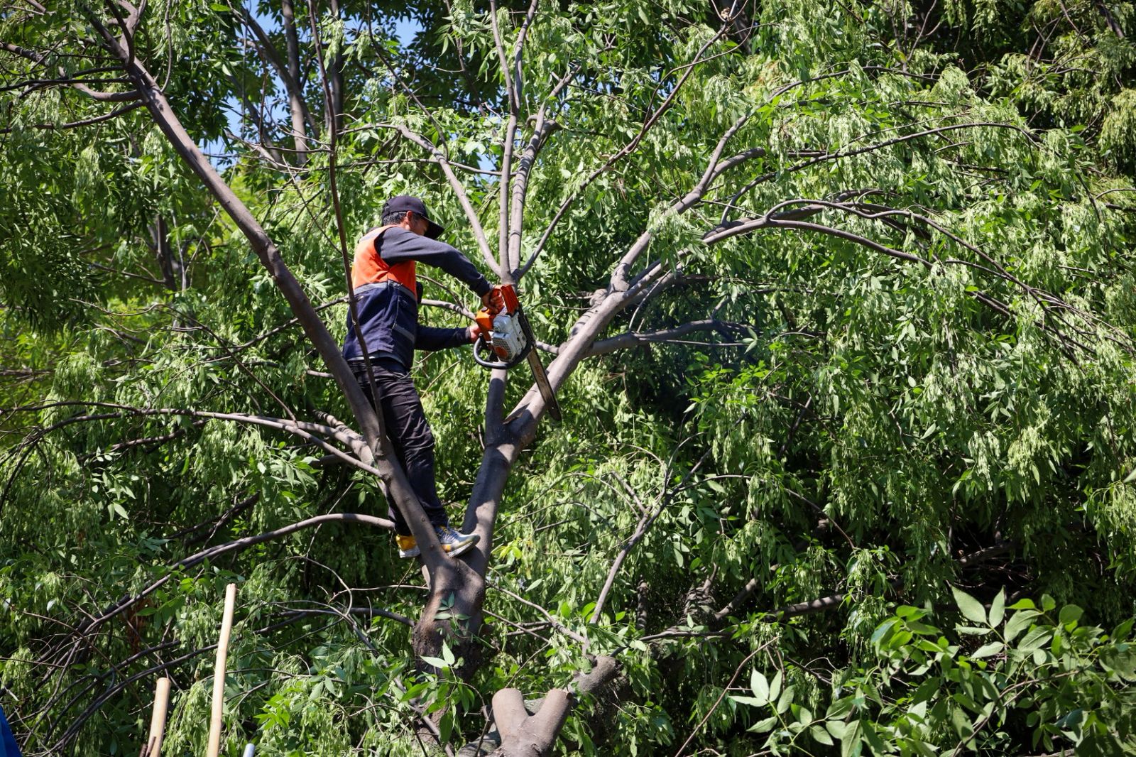 Protección Civil de Zacatelco atiende siniestro en la Cuarta Sección