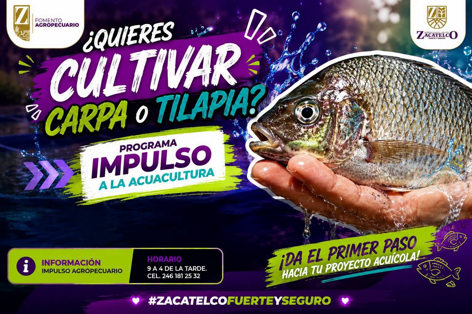 Imagen de noticia